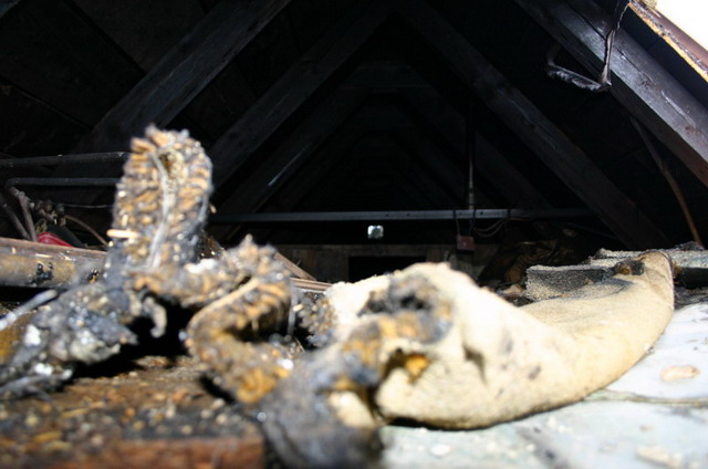 Schliessen von IMG_4498.jpg